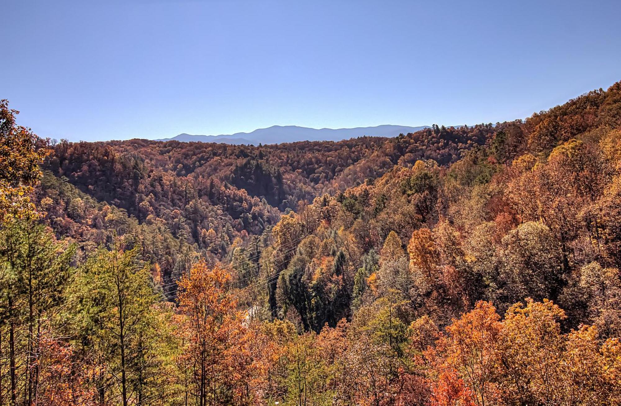 Вилла Bearview Heights #244 Таунсенд Экстерьер фото