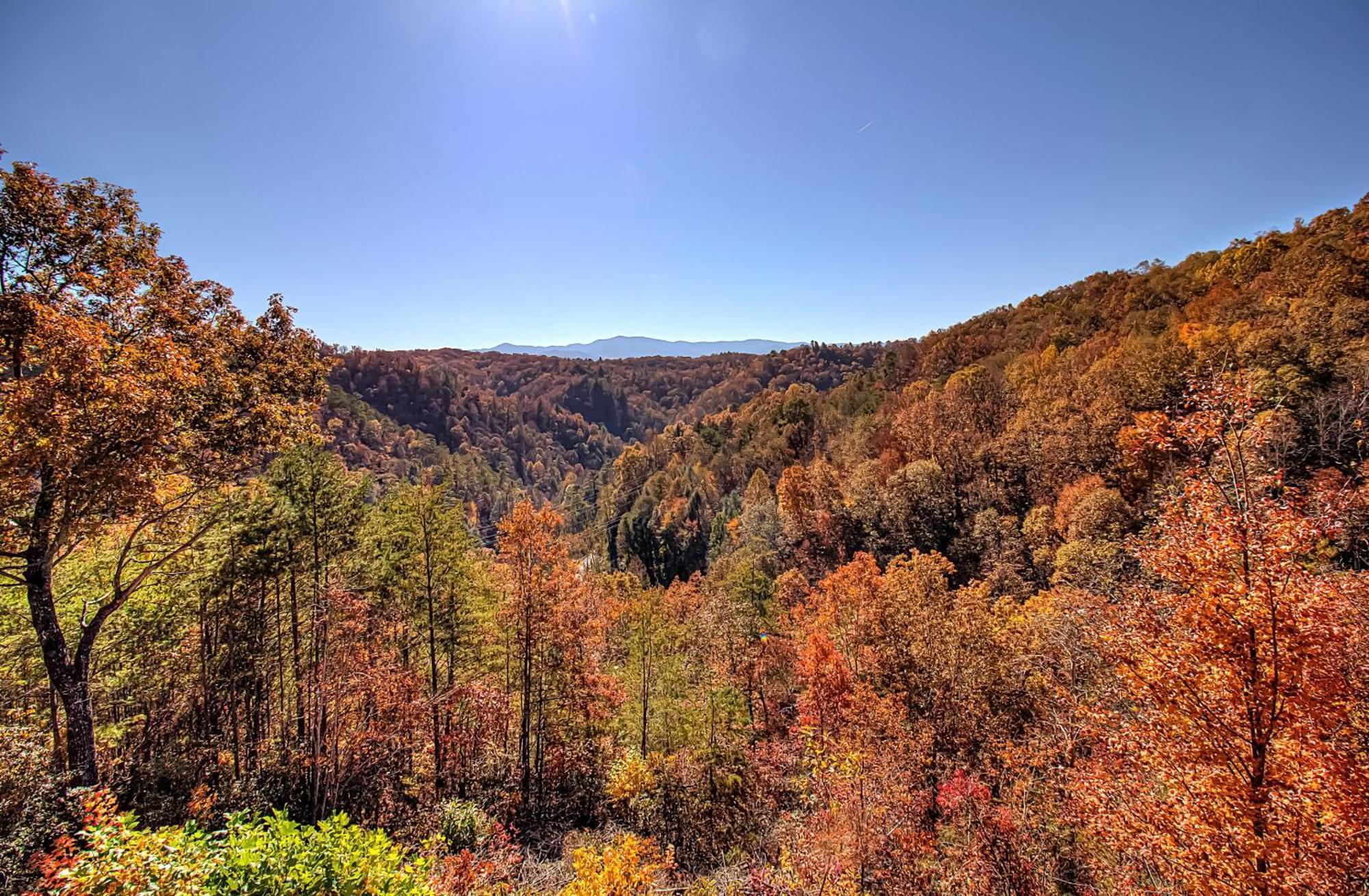 Вилла Bearview Heights #244 Таунсенд Экстерьер фото